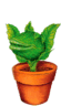 Audrey II