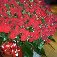 Le rose arrivate per Michelle Hunziker al Sistina