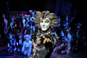 "Cats": nuovo tour in Gran Bretagna "Cats": nuovo tour in Gran Bretagna