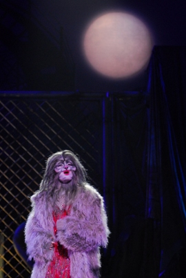 Il musical "Cats": un successo inarrestabile