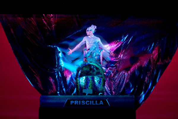 Il musical "Priscilla" in scena