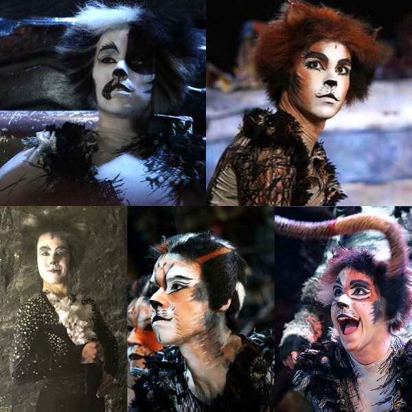 Alessandro Ripamonti in Cats