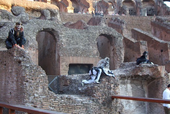 Cats al Colosseo