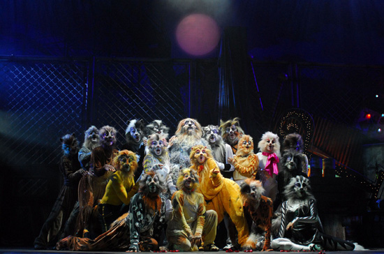 Cats - Compagnia della Rancia (Foto Alessandro Pinna) Cats - Compagnia della Rancia (Foto Alessandro Pinna)